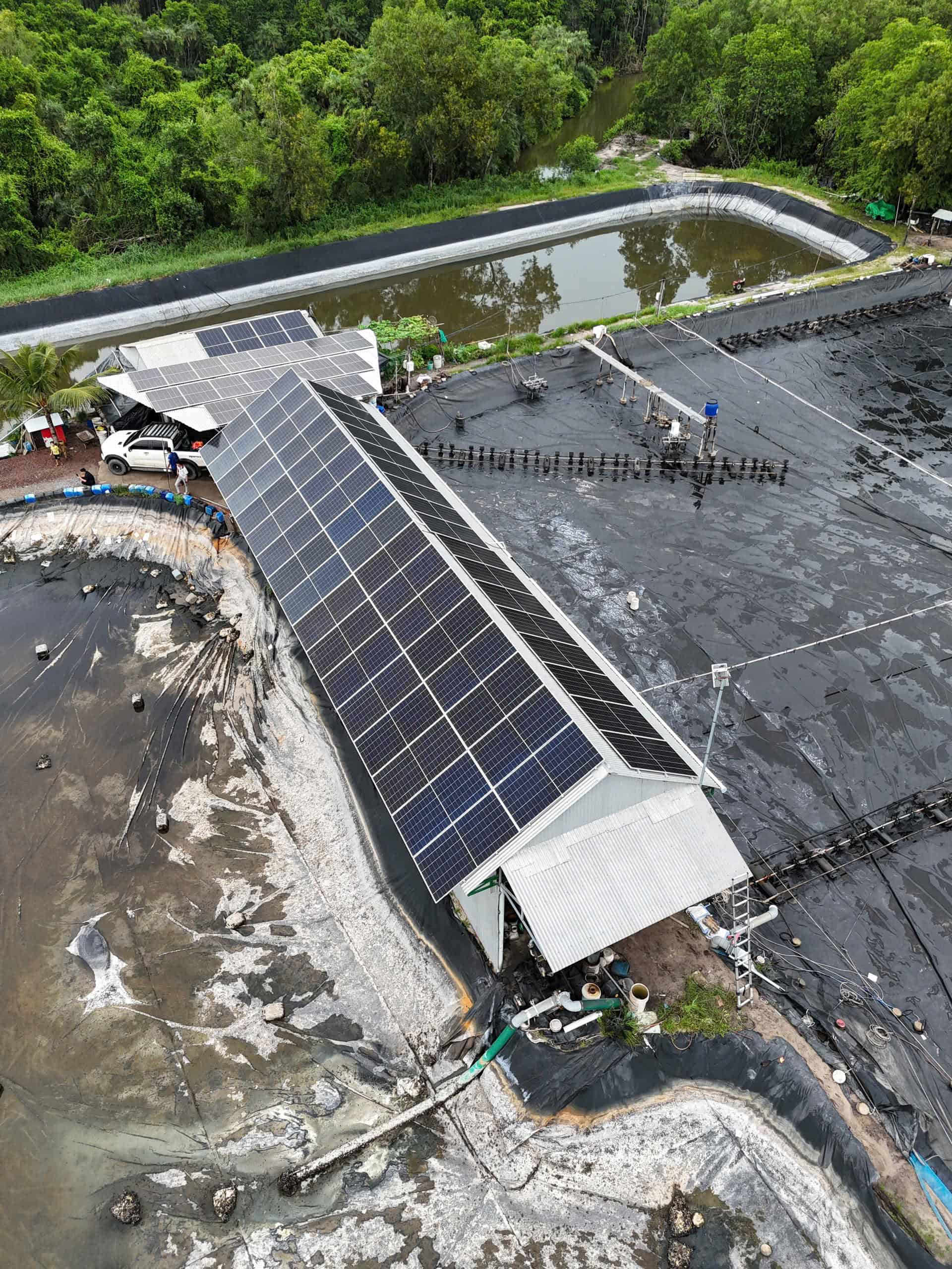 Solar-powered shrimp ponds with multiple aerator rows at a remote aquaculture farm