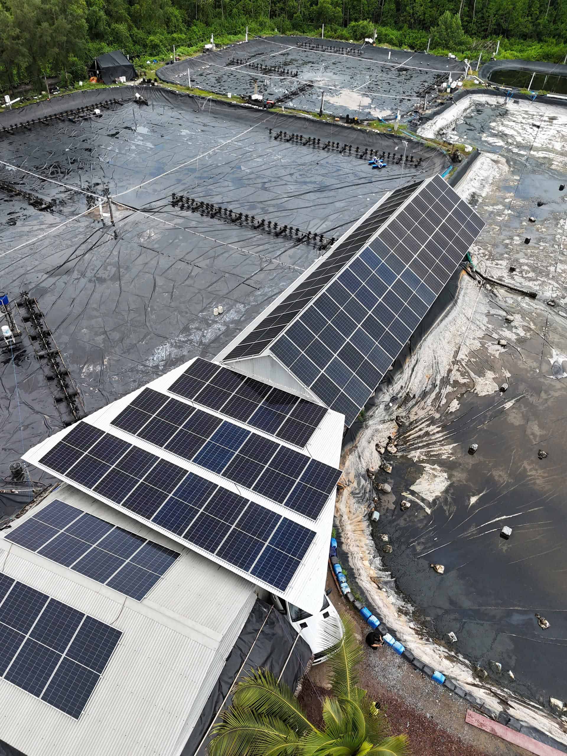 Remote shrimp farm powered by an off-grid solar and Lithtech battery storage system